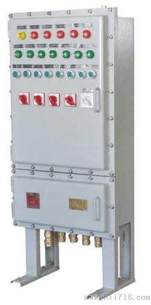 BXD51 6K防爆立式动力配电箱高清细节图解析——浙江飞浦防爆电器公司产品介绍